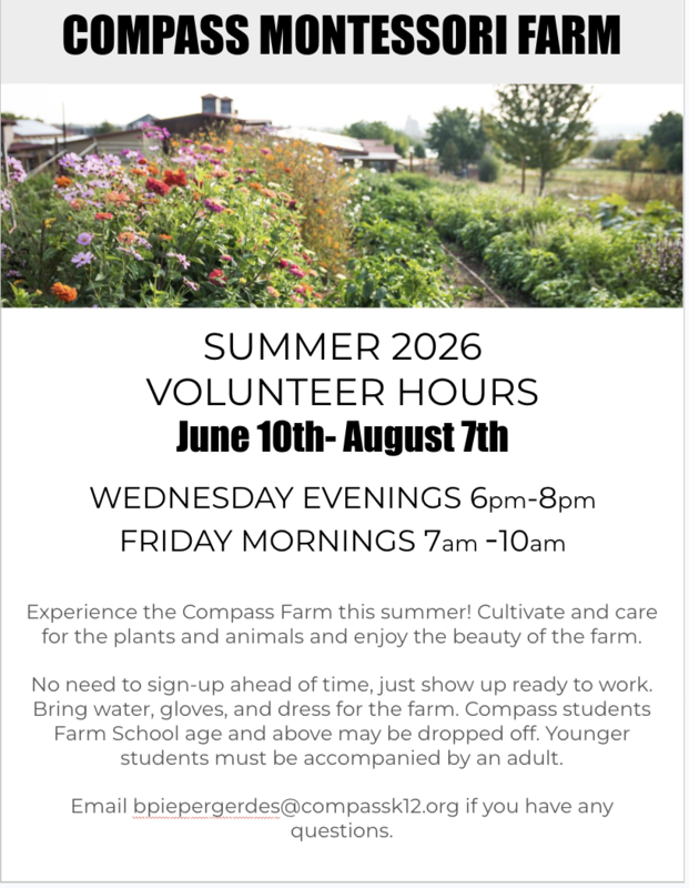summer volunteer hours