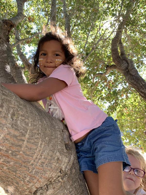 kindergartner in a tree