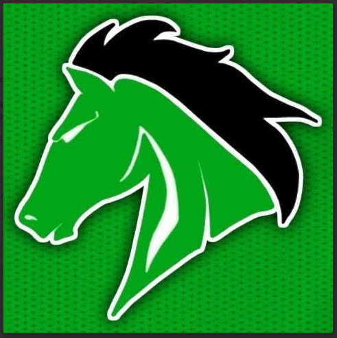 WSHS Colt logo