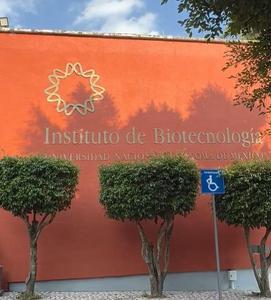 WhatsApp Image 2025-12-11 at 8.41.25 AM (3).jpeg