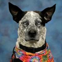 SkyeZimmerscheid's Profile Photo