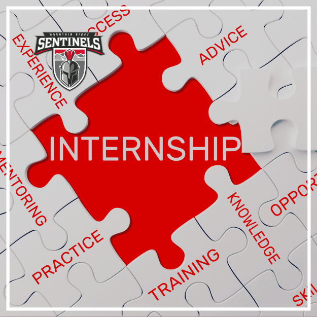 Red puzzle piece labeled 'Internship' with the Sentinels logo above it.