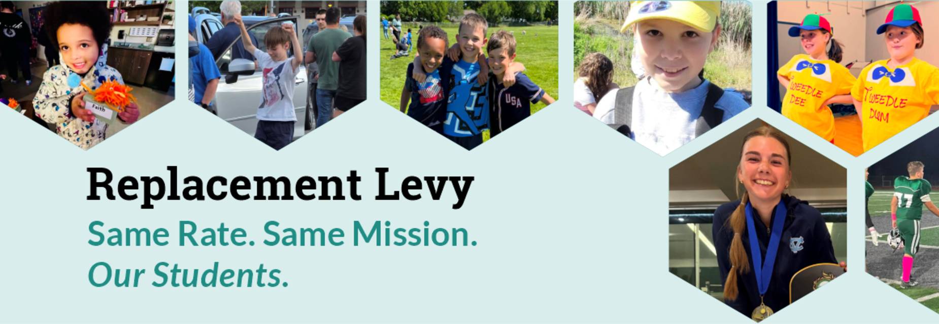 Replacement Levy