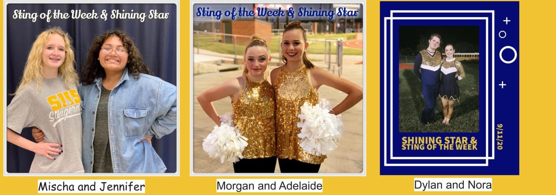 Sting awards