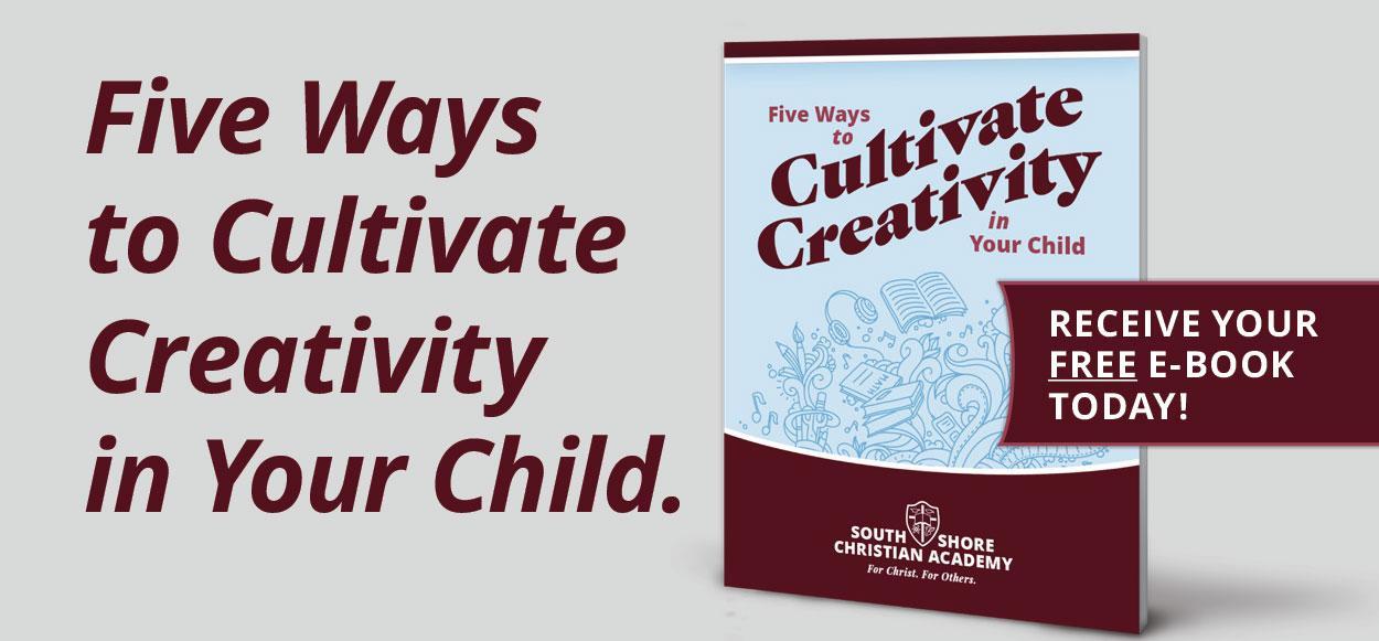 Five Ways to Cultivate Creativity in Your Child Book cover