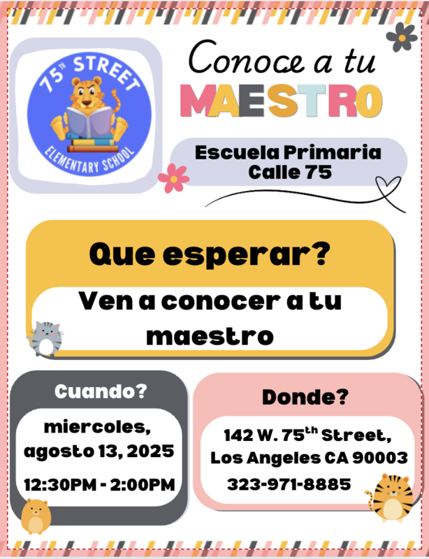 Flyer Spanish