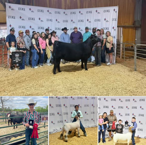 FFA photos from county shows