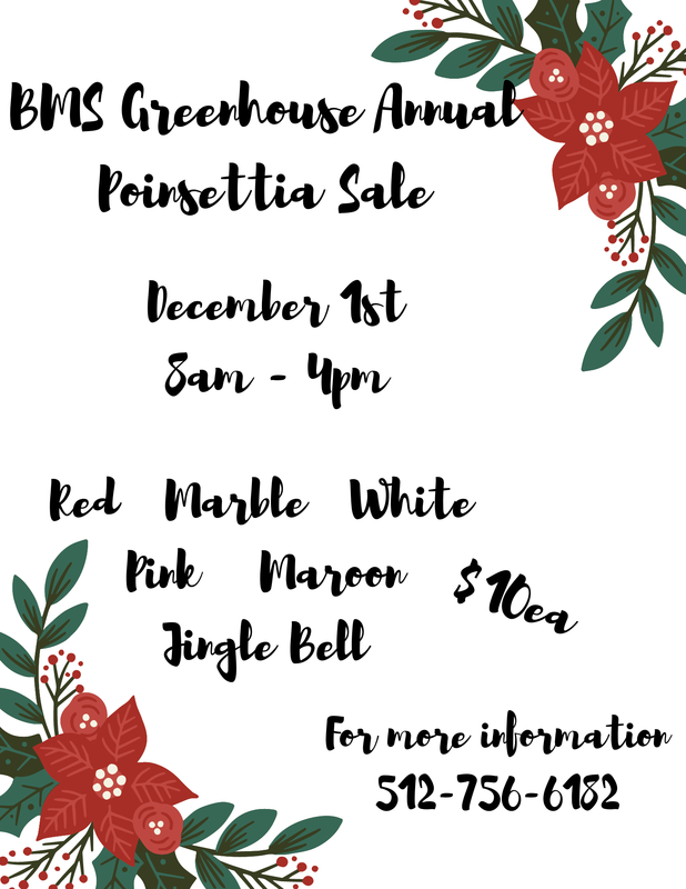 Annual Poinsettia Sale Featured Photo