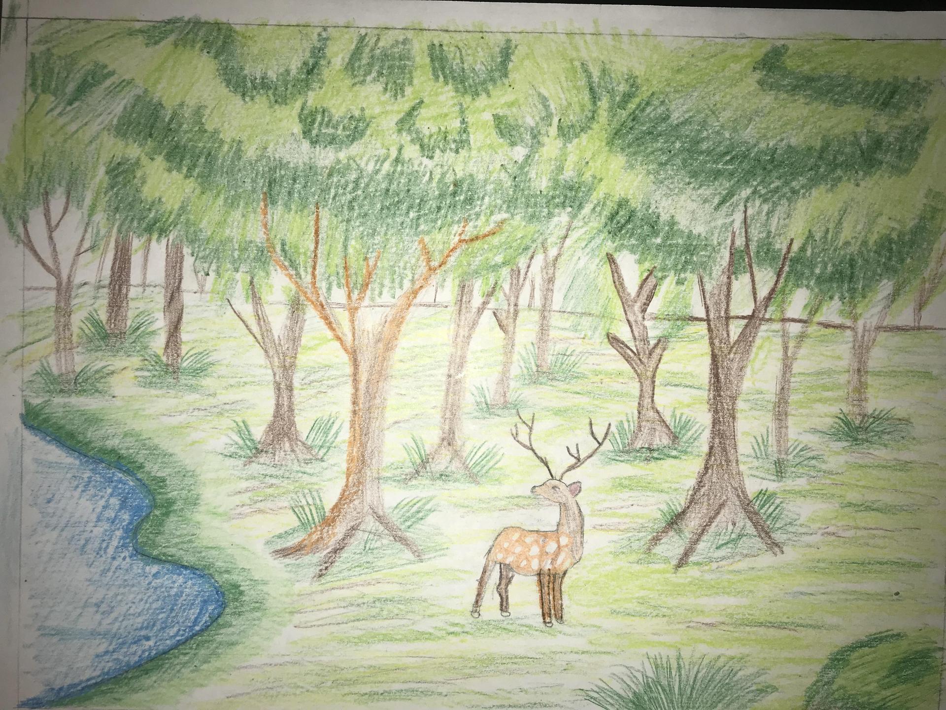 Sketchbook Instructions Ms. Abby Marmon Rock Springs Middle School