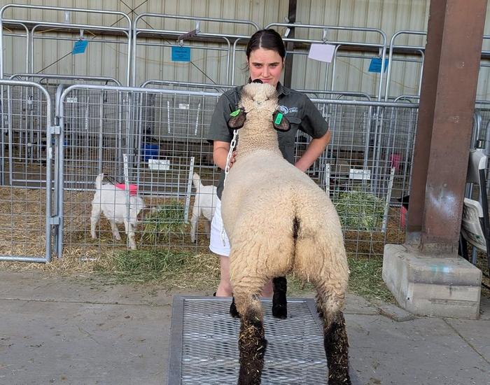 FFA Ag Summer Fun