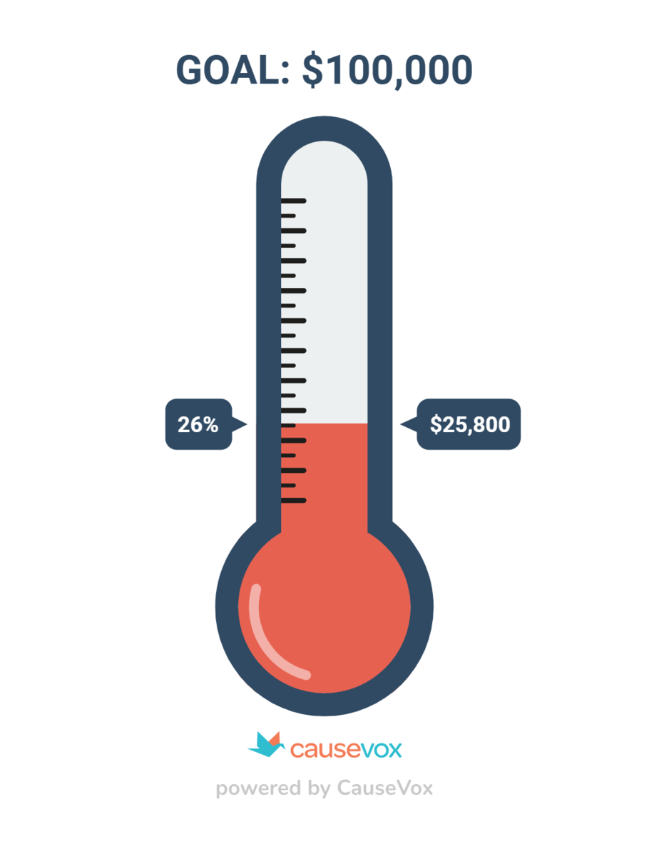 Donations received versus goal