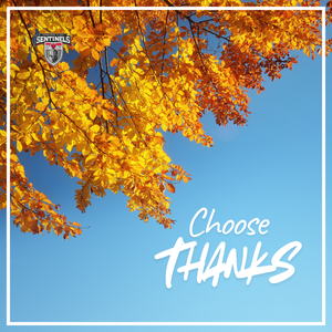 MRHS Sentinels logo over a background of fall leaves and the phrase "Choose Thanks".