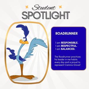 student spotlight sample