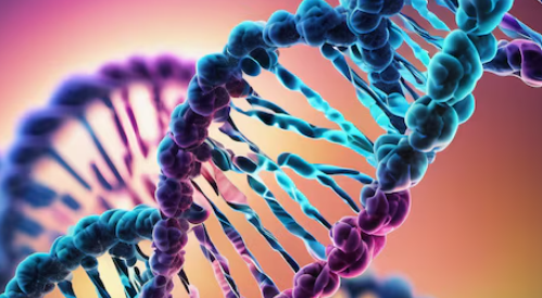 DNA