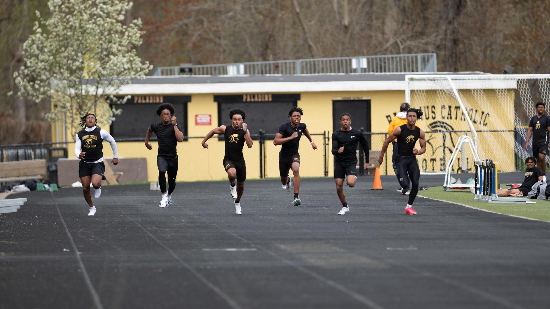 Homepage Shuffle Gallery 23