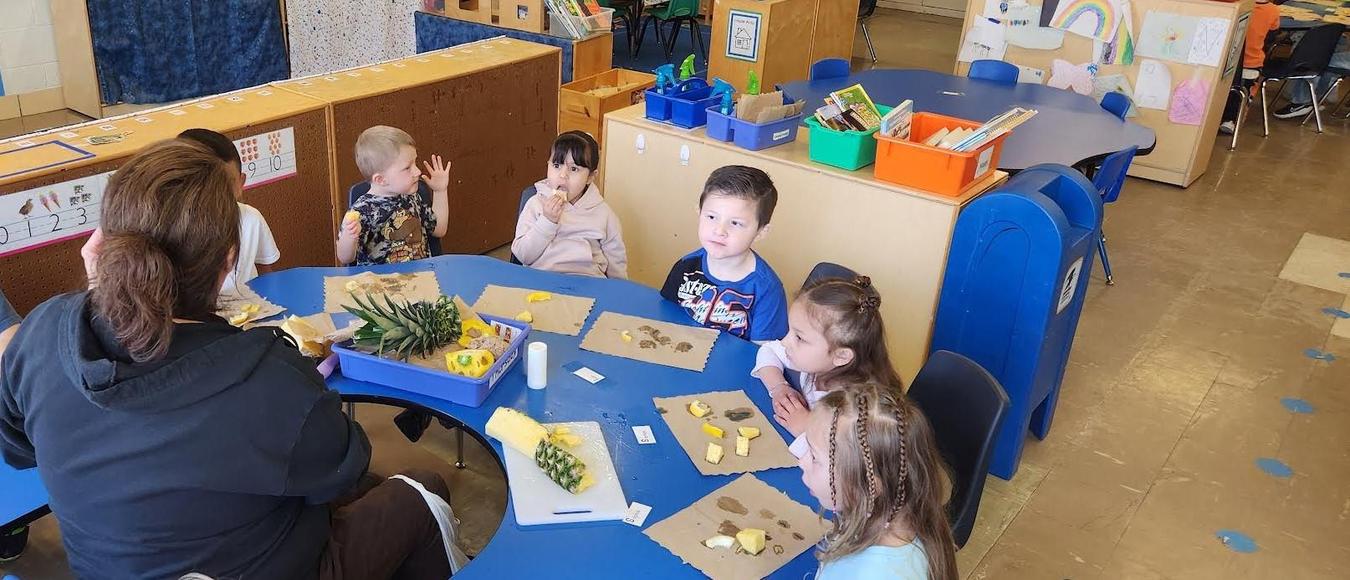 Students are sitting at a blue table and are learning about pineapples.
