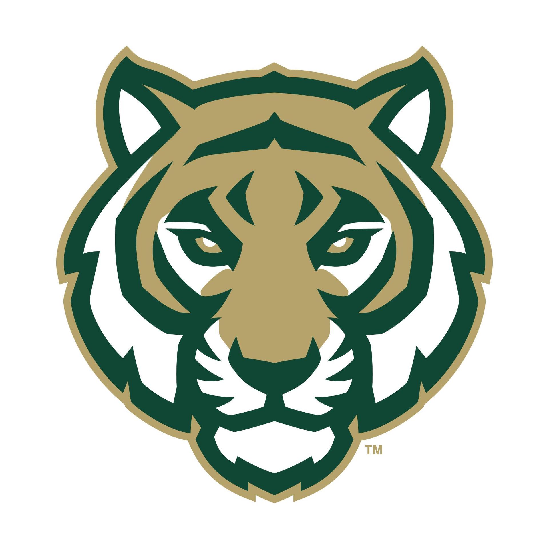 tiger face