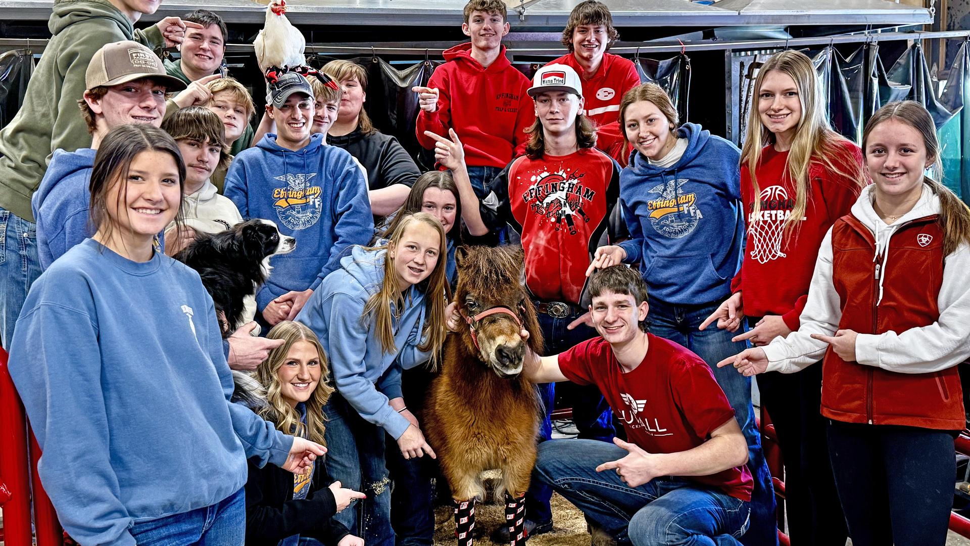 FFA Donkey