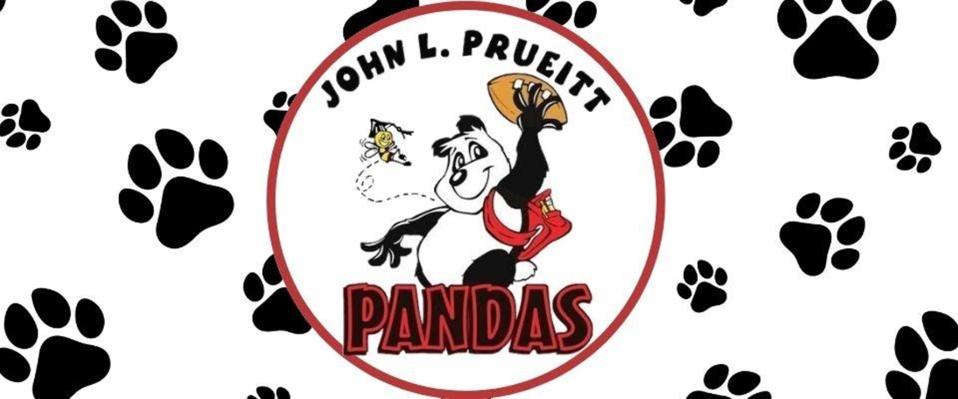 Logo featuring a panda with football, set against paw prints.