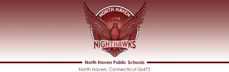 Nighthawk Logo