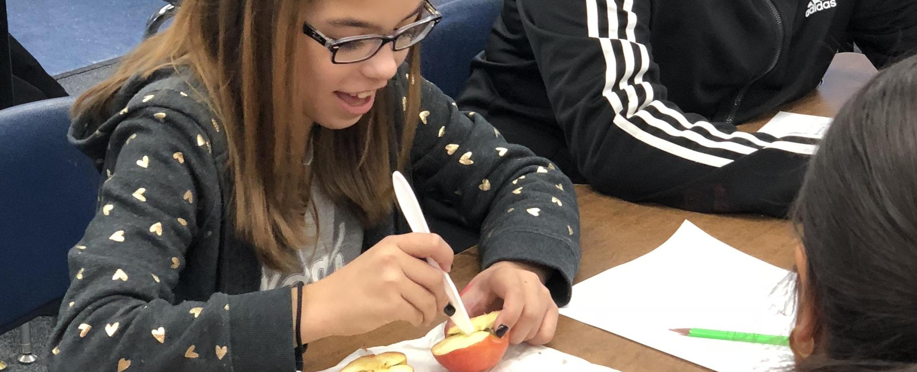 mummifying apples