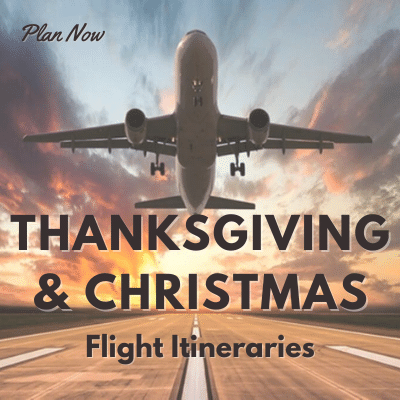 Poster for Flights