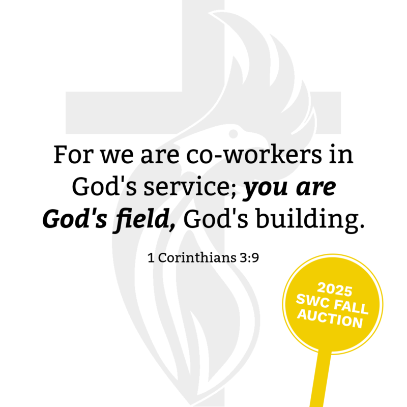 SWC Fall Auction Link Featured Photo