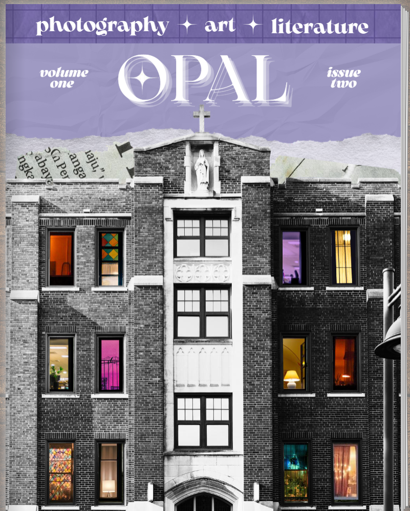 cover of OPAL magazine with black and white building with colors in each window