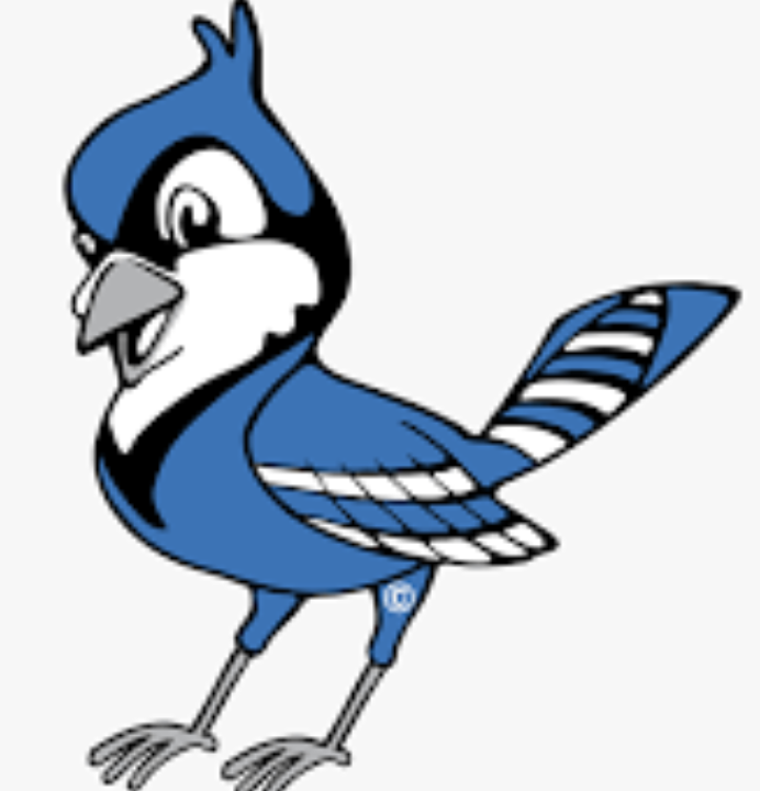 Blue Jay