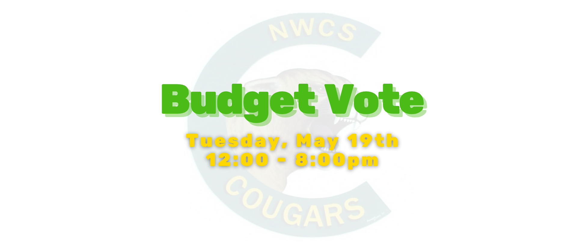 Budget Vote and Elections