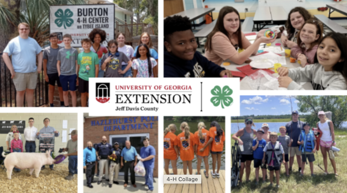 4-H
