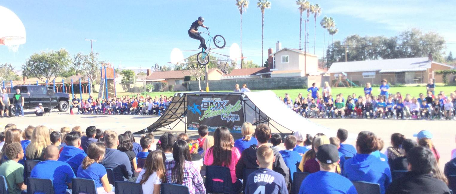 BMX Assembly