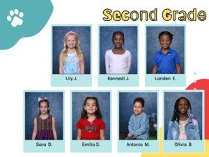 Wildcats representing Respect for Others