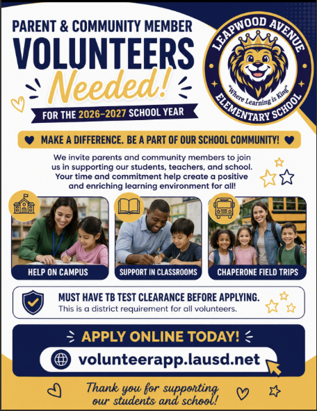 Volunteer Flyer