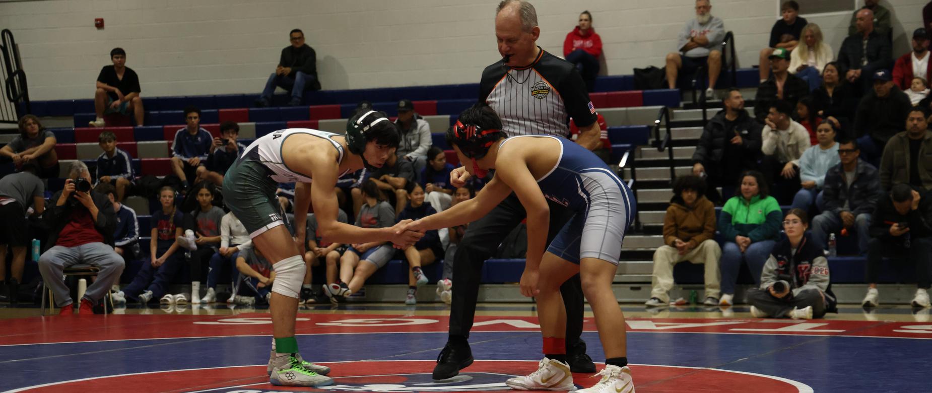 wrestle