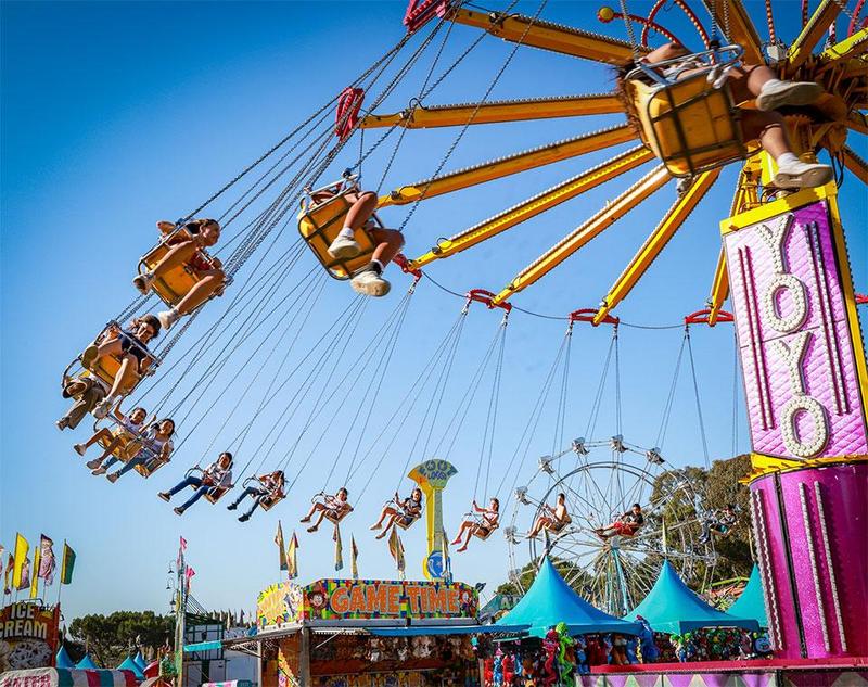 swings
