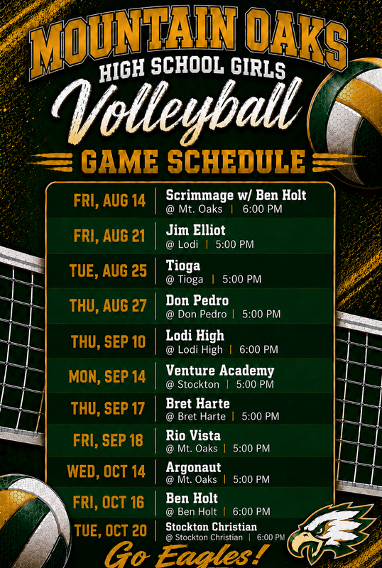 volleyball schedule flyer