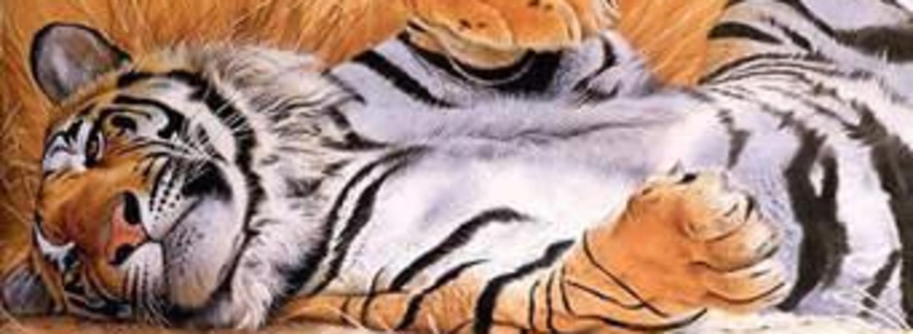 tiger 1