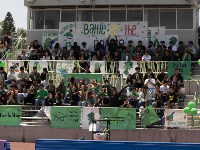 Students cheering in a stadium decorated with green banners.