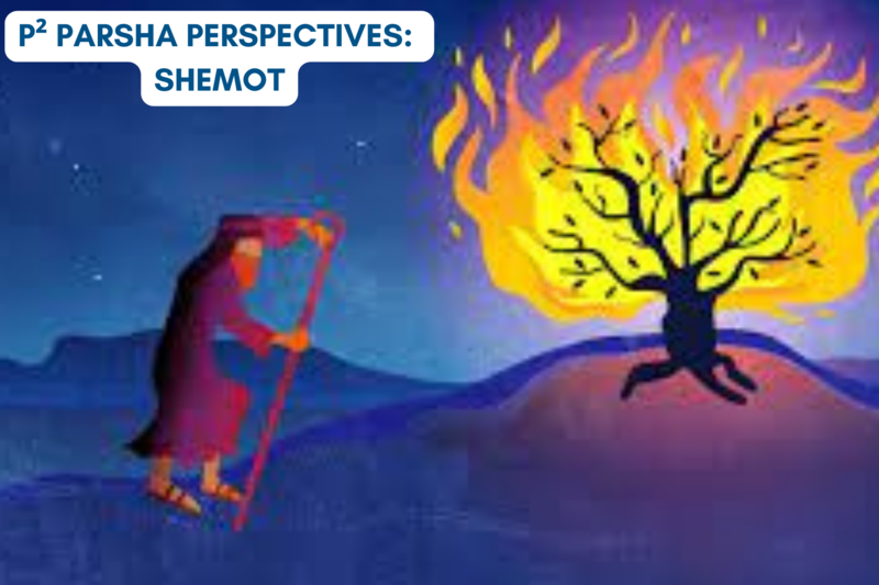 P² Parsha Perspectives: Parshat Shemot