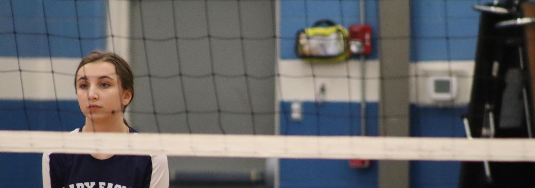 a team volleyball