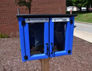 blue little library box with mulch in background