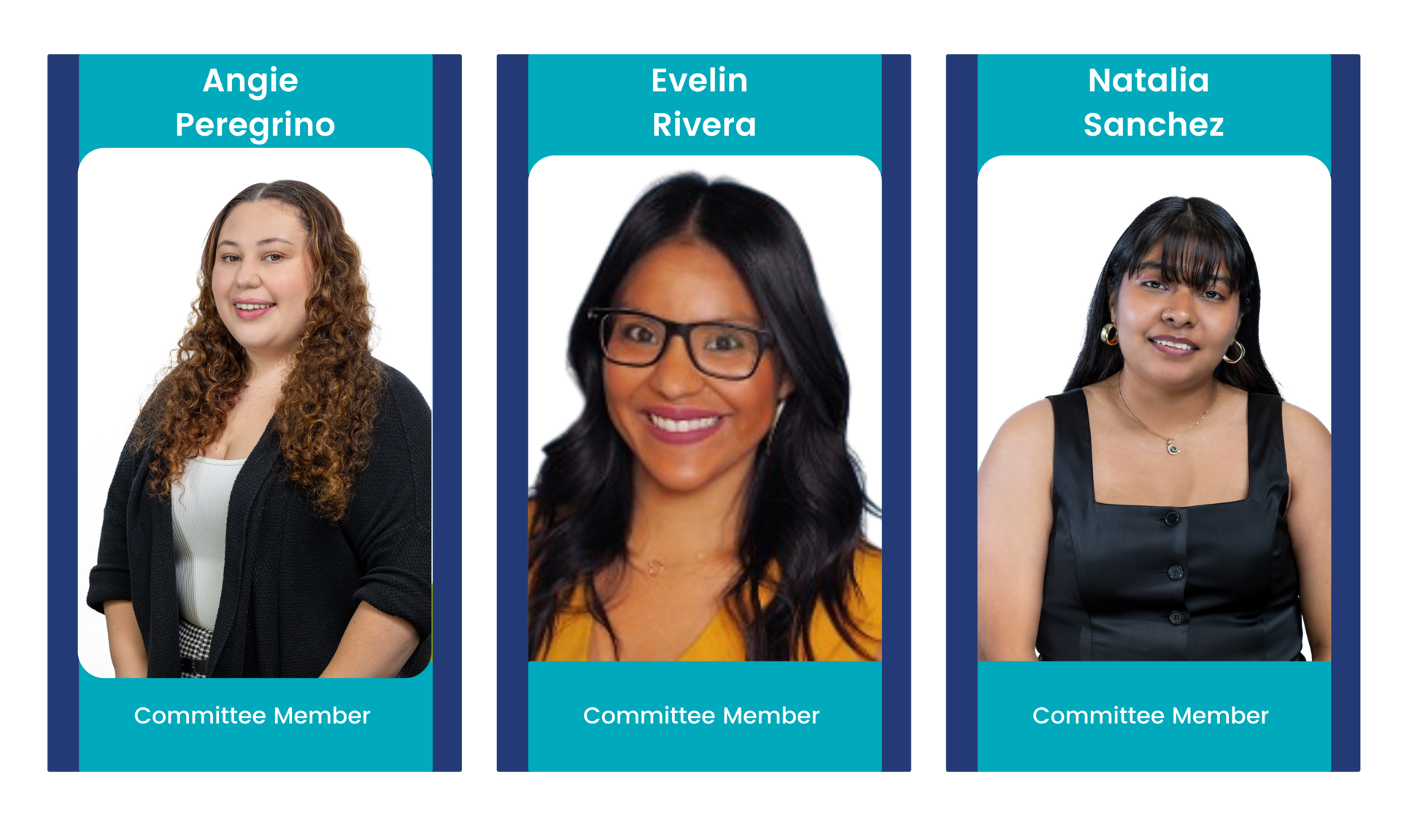 AIM committee members