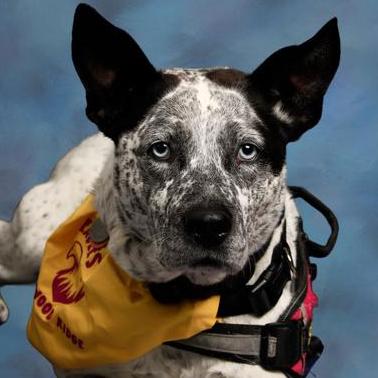 SkyeZimmerscheid's Profile Photo