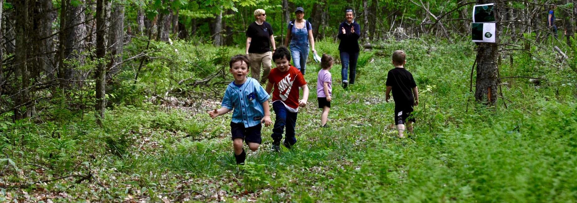 Children playing on a farm