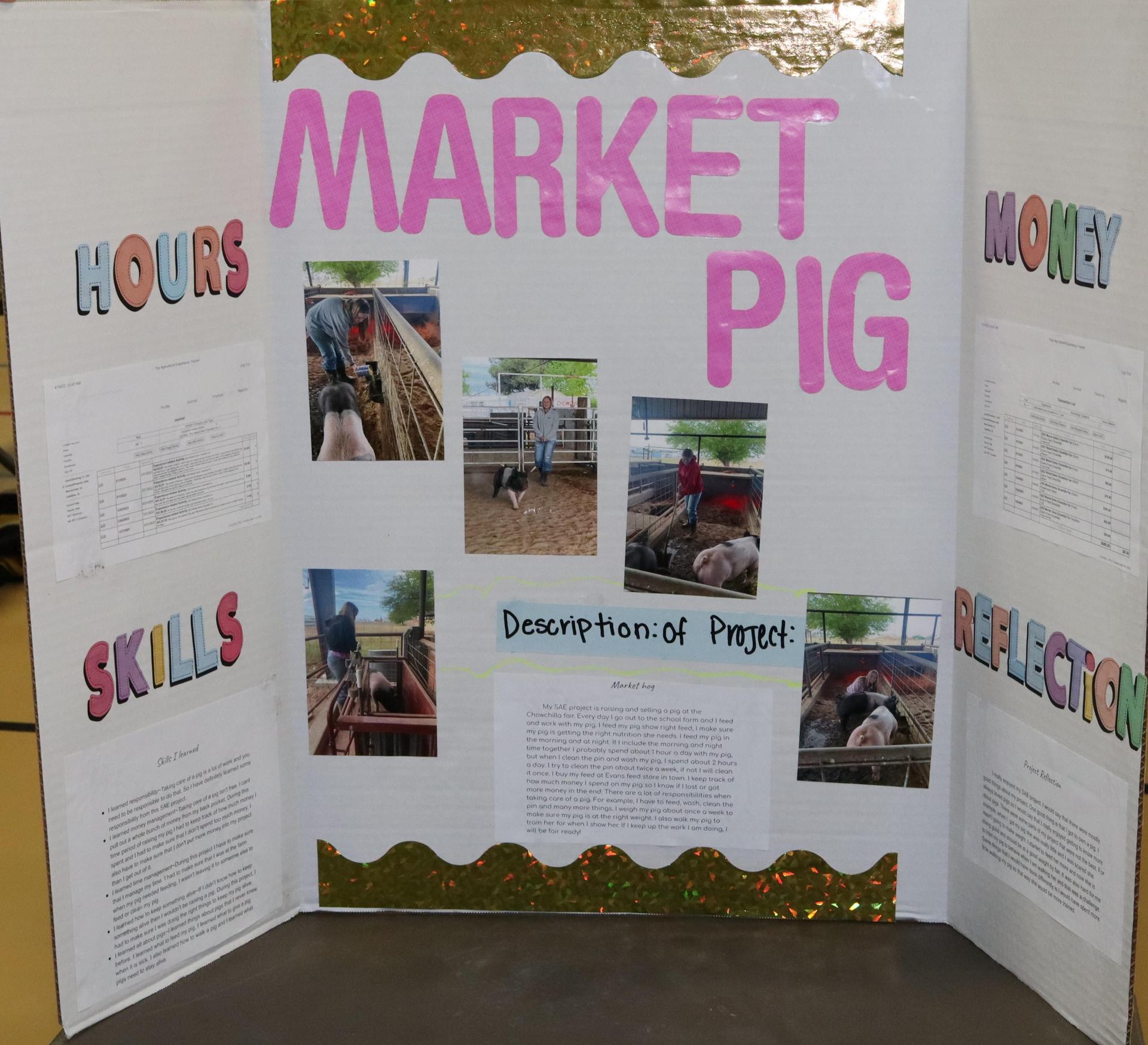 A Supervised Agricultural Experience trifold display