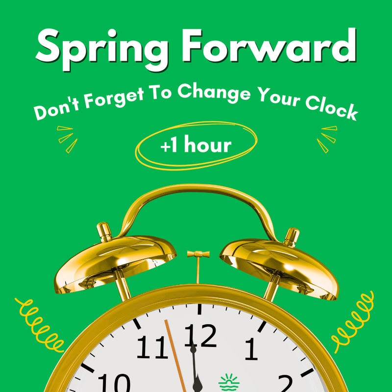 Daylight Saving Time Begins