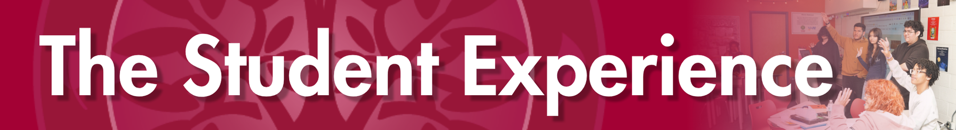 The Student Experience Title Heading