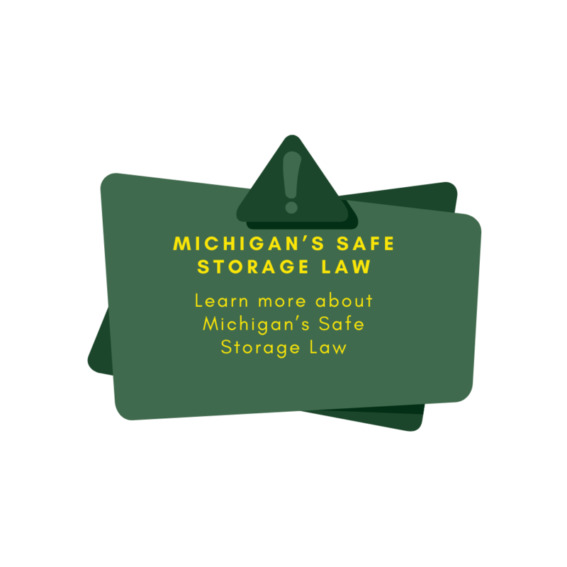 Michigan's Safe Storage Law