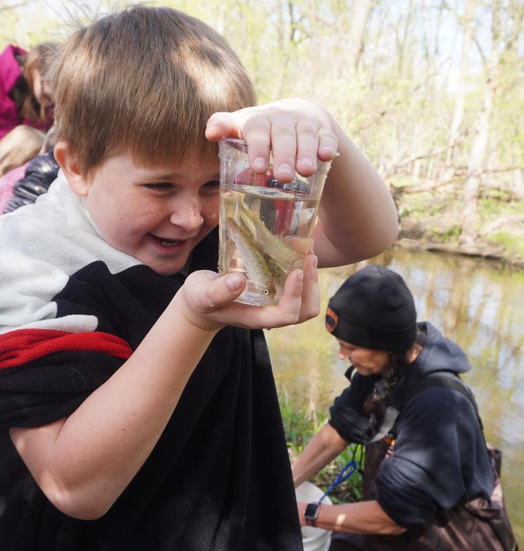 A third grade student says a final good bye to the salmon they've been raising in the classroom.